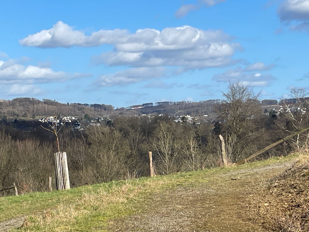 walking near me in LVR-Freilichtmuseum Lindlar in winter