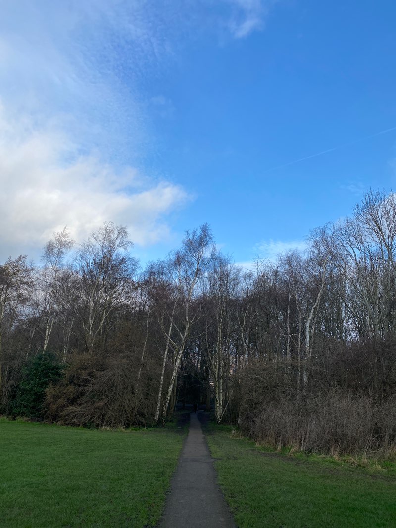 walking near me in Meersbrook Park in winter