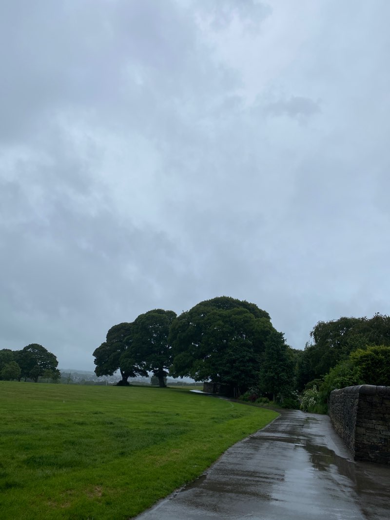 walking near me in Graves Park in summer