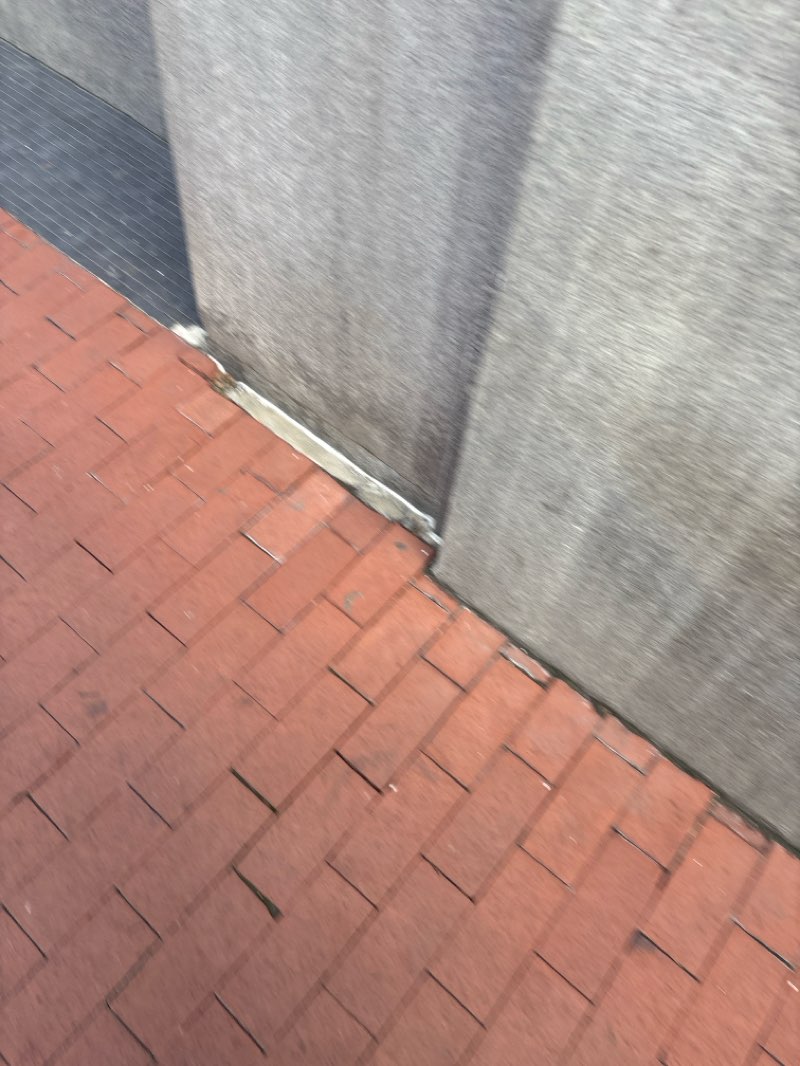 walking near me in Carriage Trail in winter