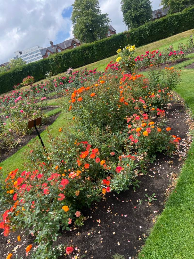 walking near me in Botanic Gardens in autumn