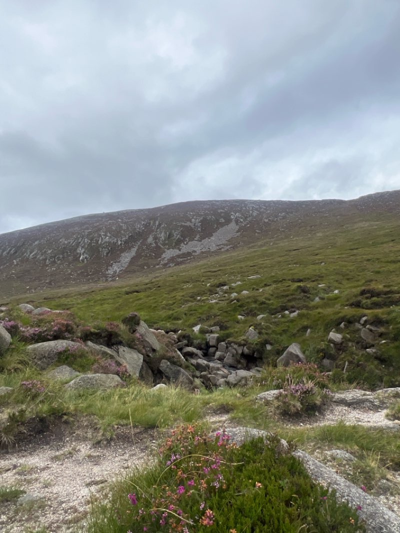 walking near me in Solitude Park in autumn