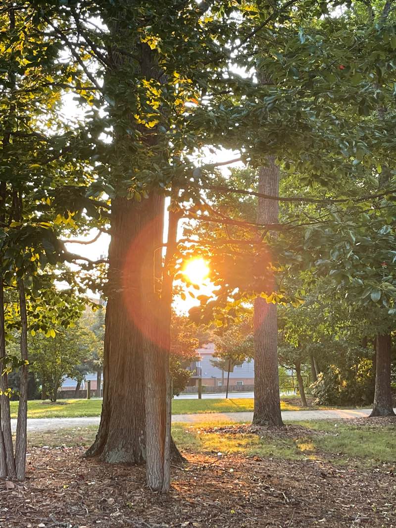 walking near me in Leinbach Park in summer