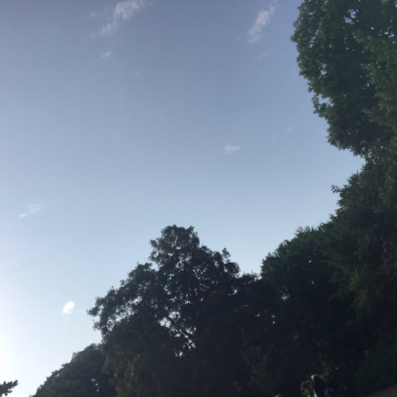 Meisam Sarabi🇩🇪 post 1