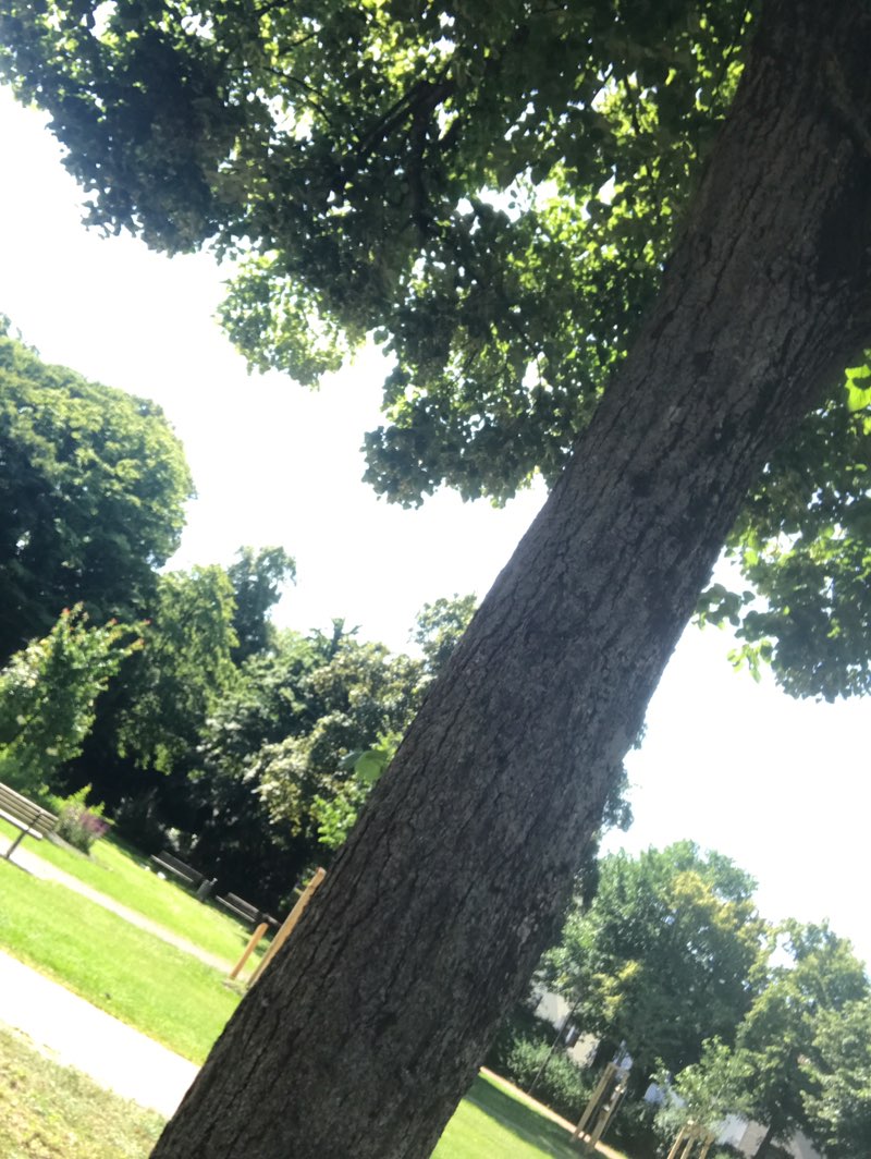 walking near me in Friedrich-Lehmann-Platz in summer