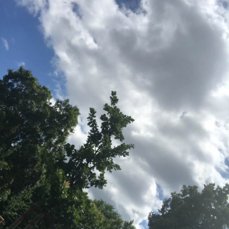 Meisam Sarabi🇩🇪 post 1