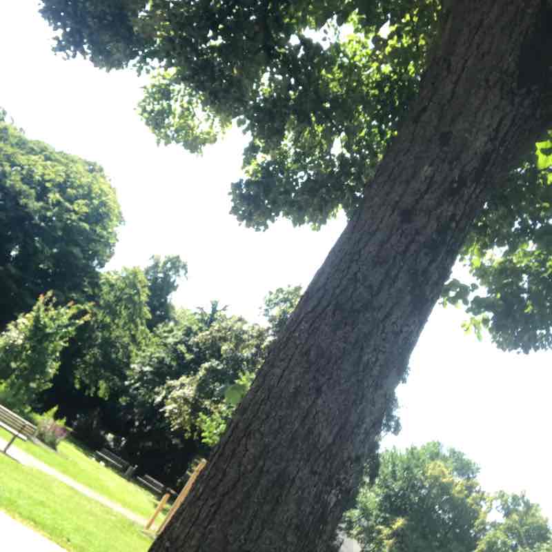 Meisam Sarabi🇩🇪 post 1