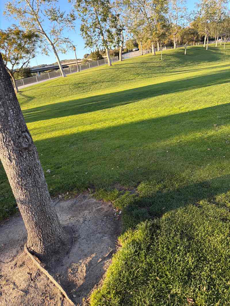 walking near me in Liberty Park in spring