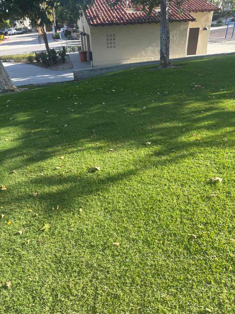 walking near me in Talega Park in spring
