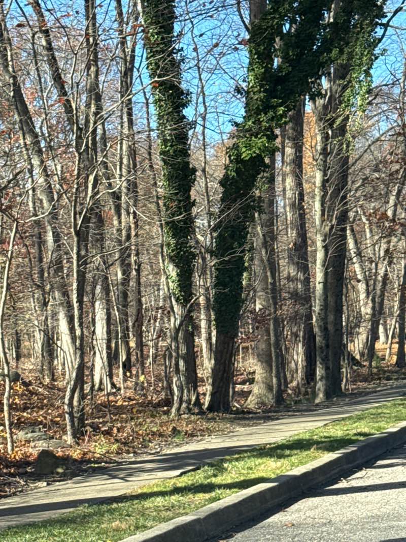 walking near me in Wayne Captain Michael Kilroy Memorial Park in autumn