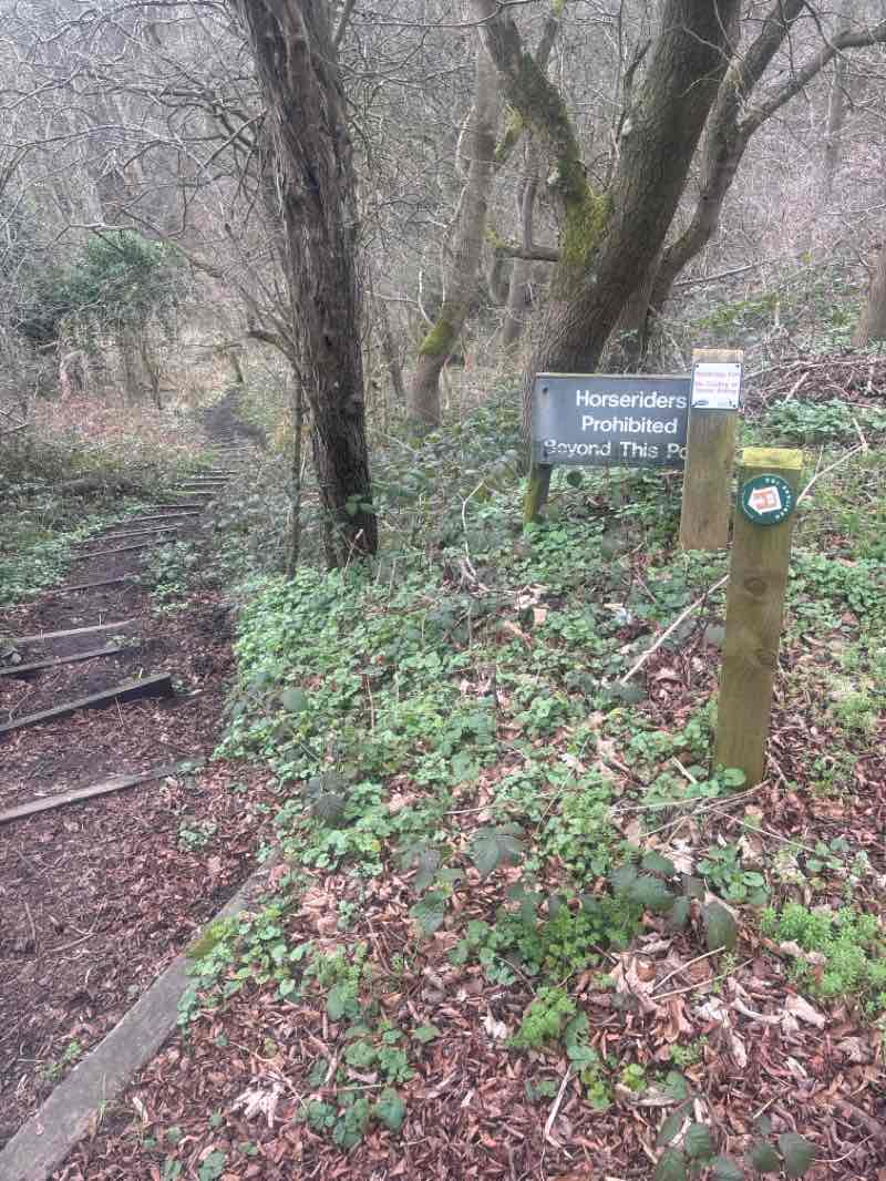 walking near me in Daisy Hill Local Nature Reserve in winter