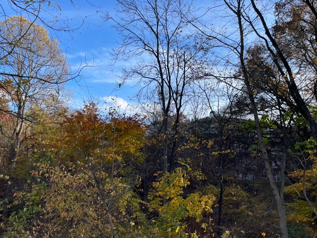 walking near me in Lake Kittamaqundi Park in autumn