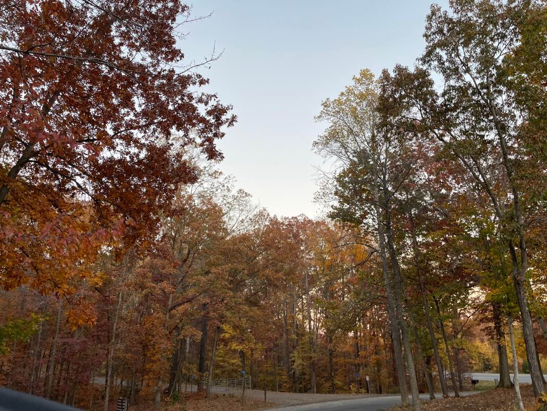 walking near me in Locust Shade Park in autumn