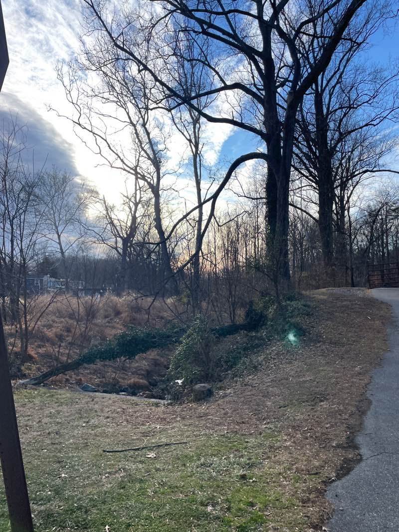 walking near me in Trolley Line #9 Trail in winter
