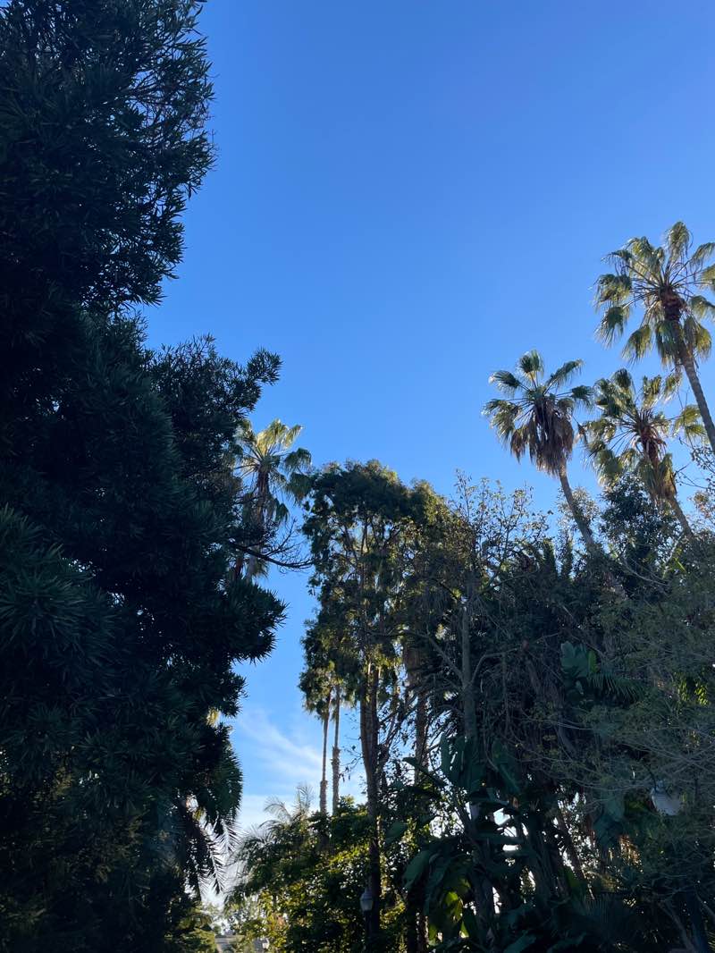walking near me in Balboa Park in winter