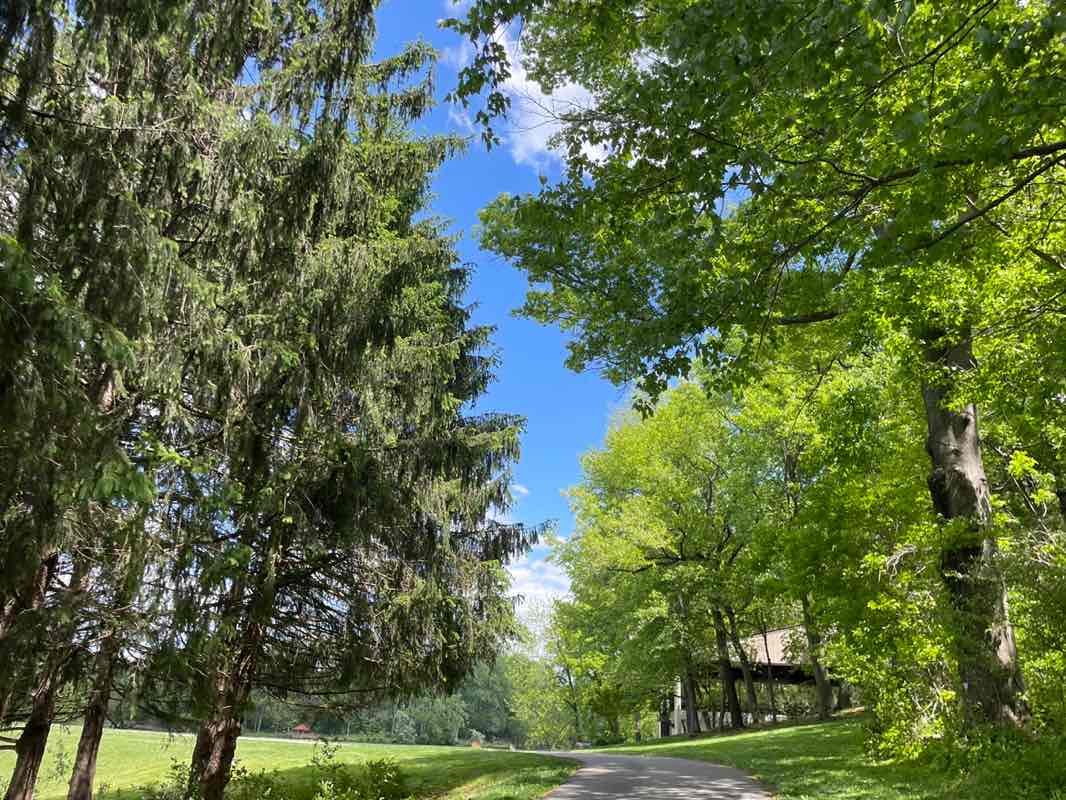 walking near me in Lake Elkhorn Park in spring