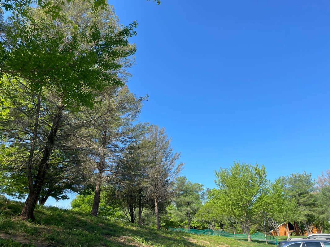 walking near me in Centennial Park in spring