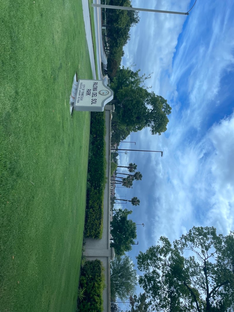 walking near me in Paloma Del Sol Park in spring