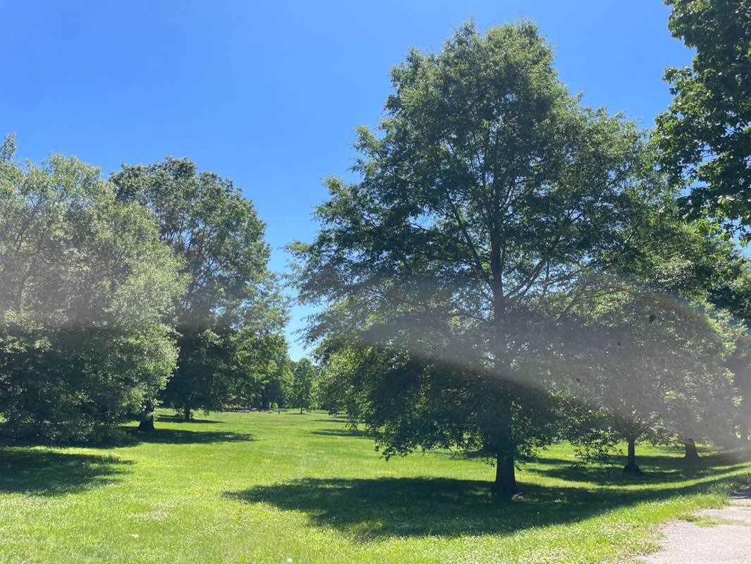 walking near me in Burba Lake Recreation Area in summer