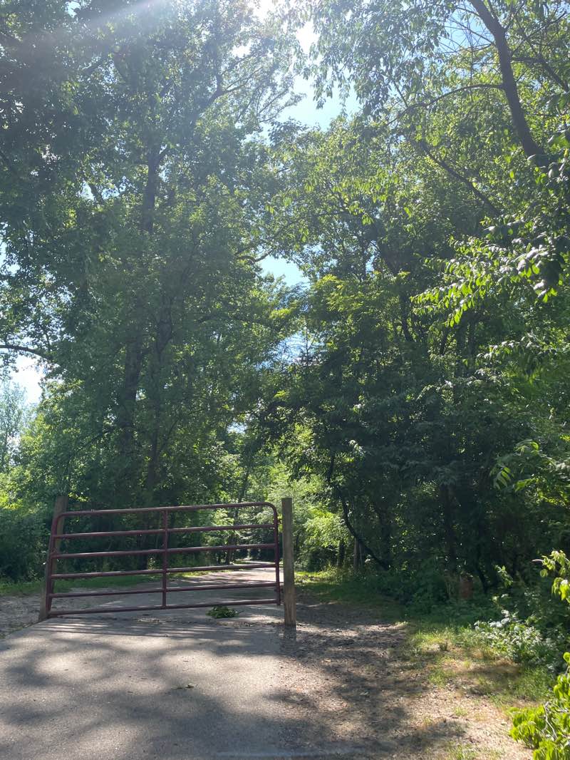 walking near me in Trolley Line #9 Trail in summer