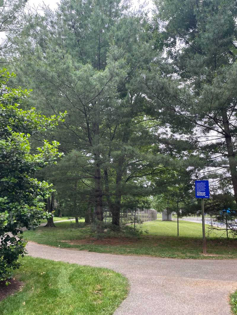 walking near me in Hawthorn Park in summer