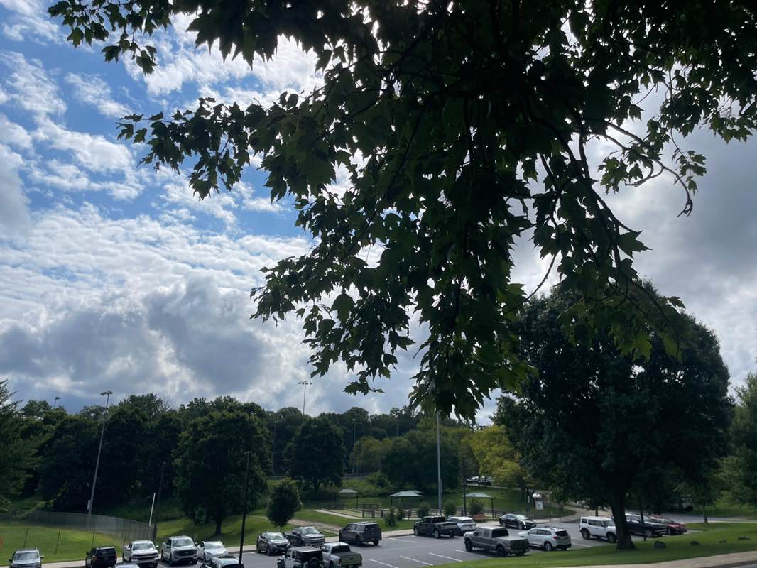 walking near me in Cedar Lane Park in summer