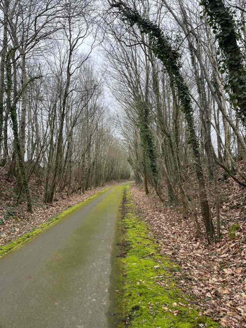 walking near me in Esplanade du château in winter