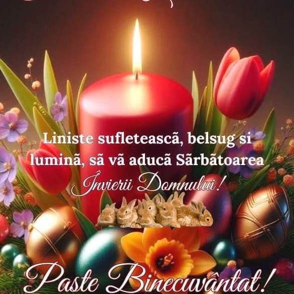 Timisoara <3 Dumitru 🇷🇴🇷🇴🇷🇴 post image