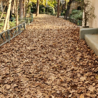 👟TEHRAN RUNNERS👟 Parisa☕️👣🚶🏻‍♀️♾✨ post image