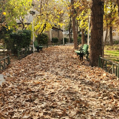 👟TEHRAN RUNNERS👟 Parisa☕️👣🚶🏻‍♀️♾✨ post image