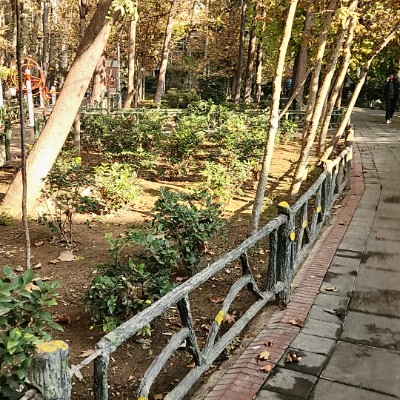 ☕️🎊coffee-lover pacers🎊☕️ Parisa☕️👣🚶🏻‍♀️♾✨ post image