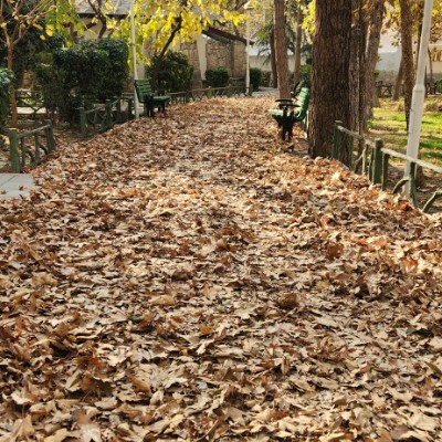 👟TEHRAN RUNNERS👟 Parisa☕️👣🚶🏻‍♀️♾✨ post image