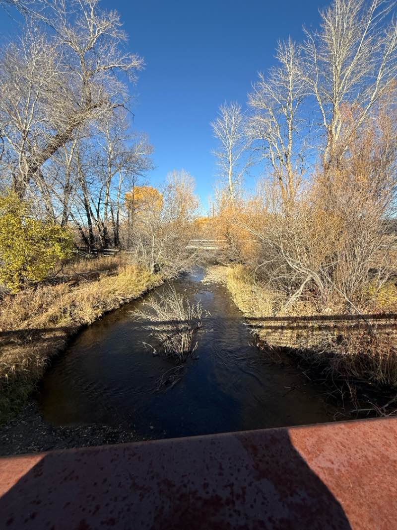 walking near me in Story Mill Park in autumn