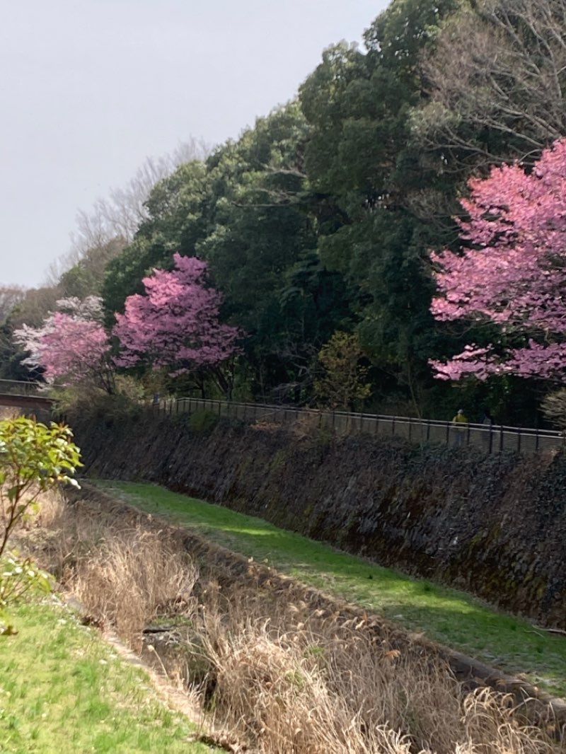 walking near me in 泉町西公園 in winter
