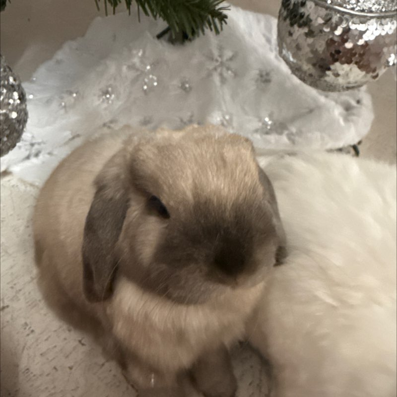 Светлана profile