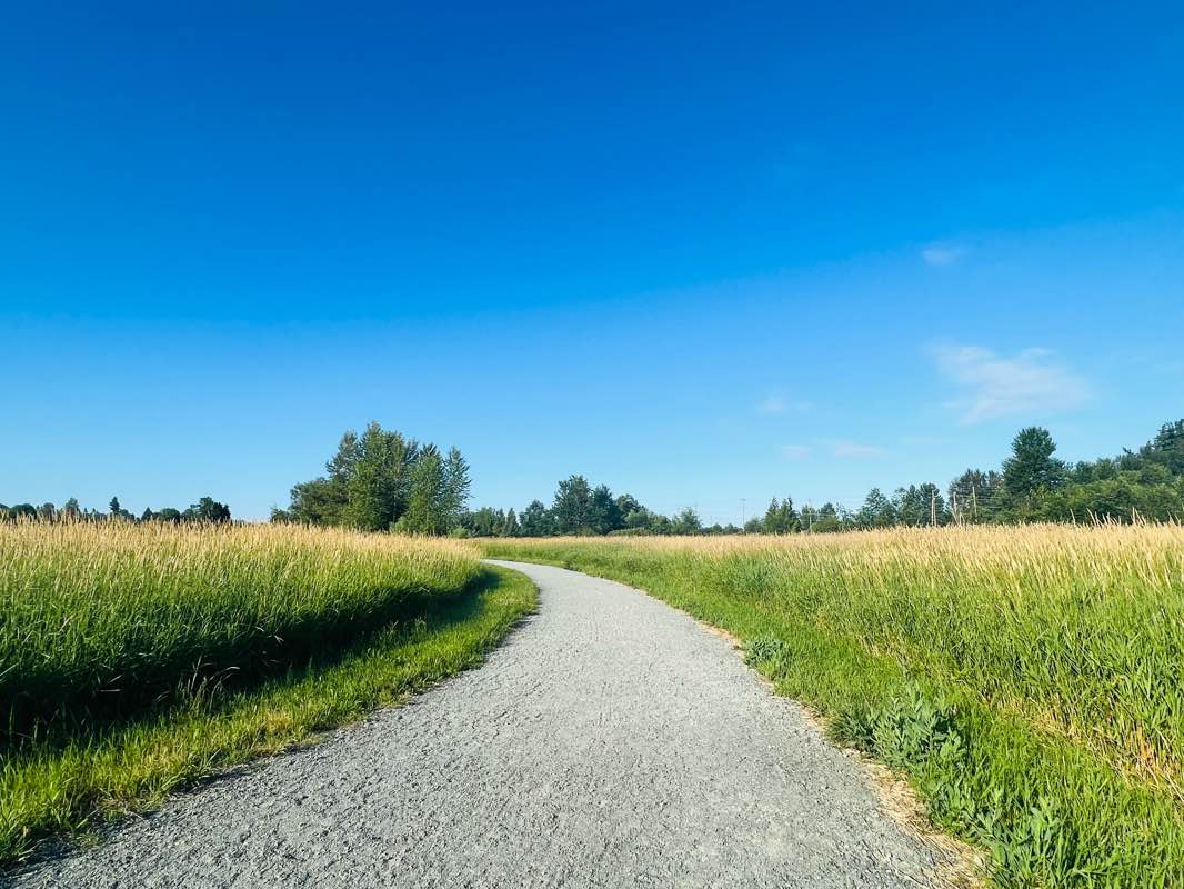 walking near me in Willband Creek Park and Detention Pond in winter