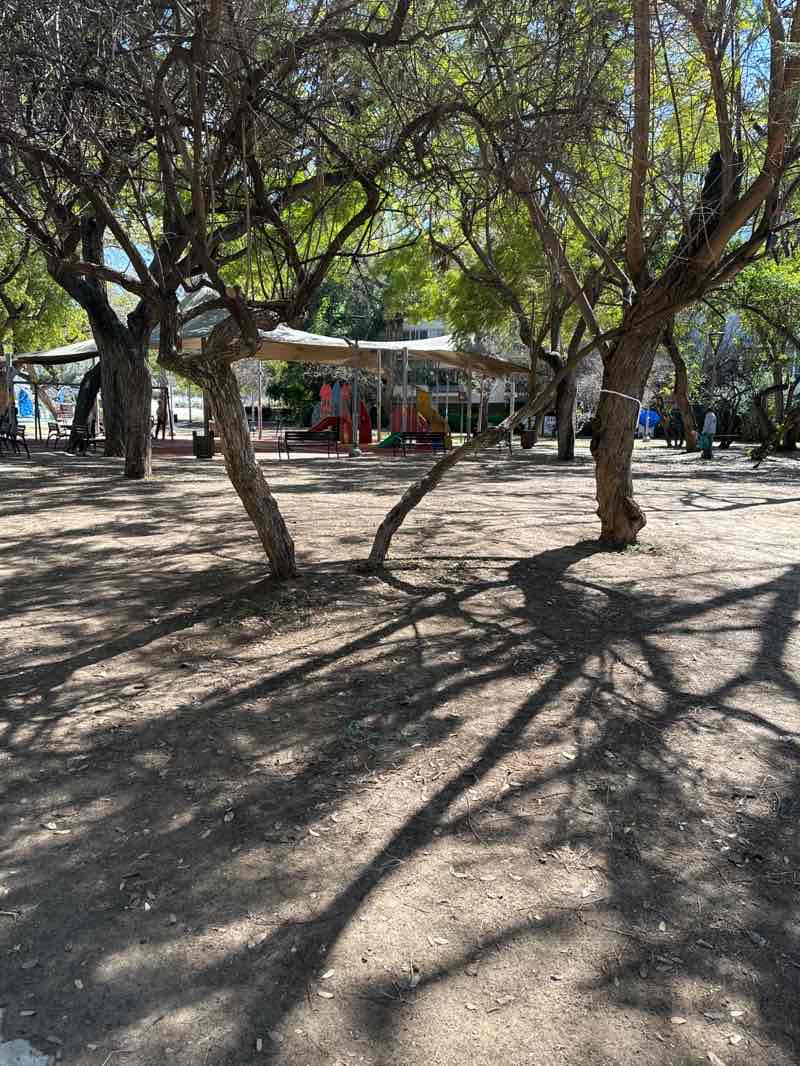 walking near me in Dubnov in spring