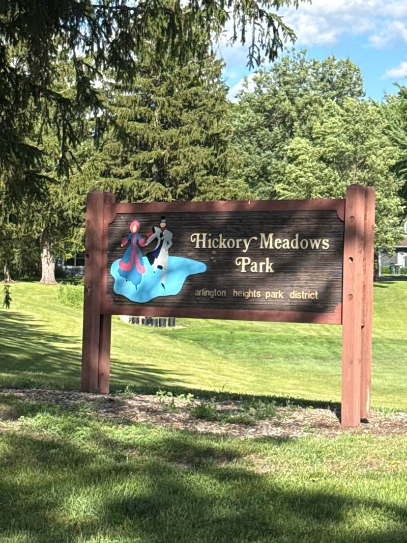 walking near me in Hickory Meadows Park in summer