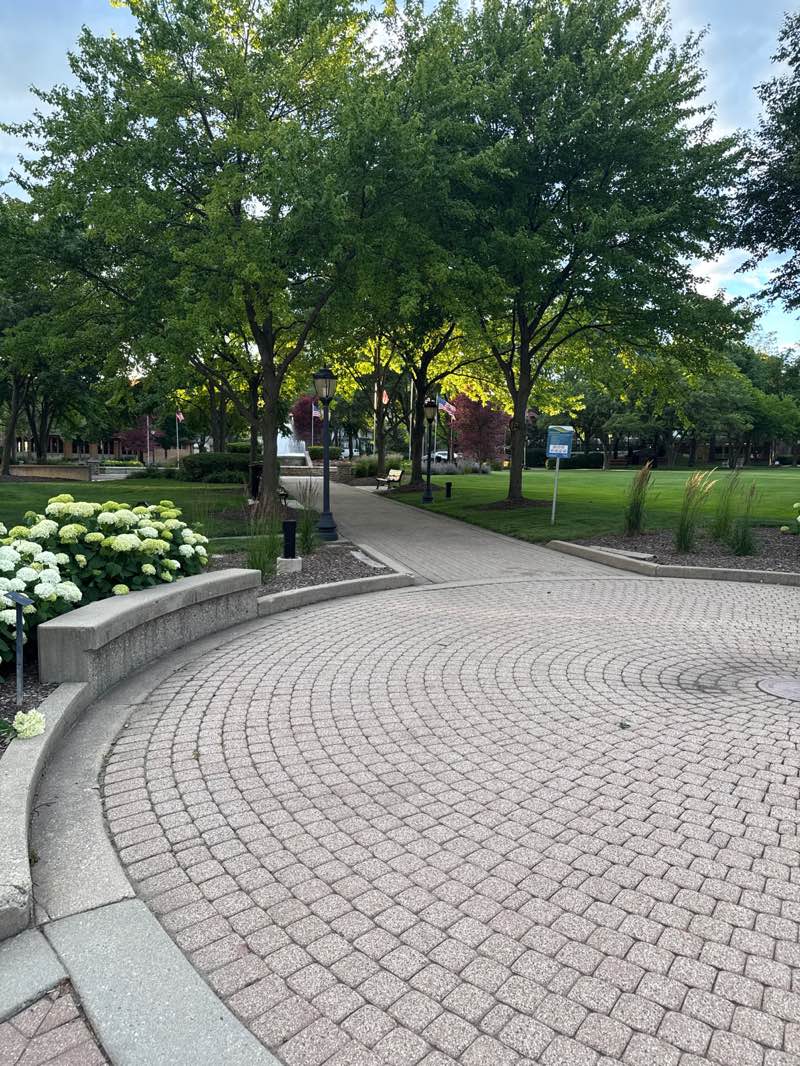 walking near me in North School Park in summer