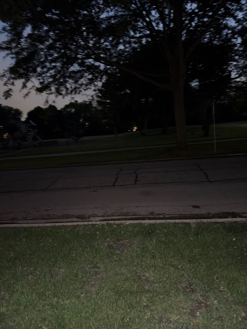 walking near me in Dryden Park in summer