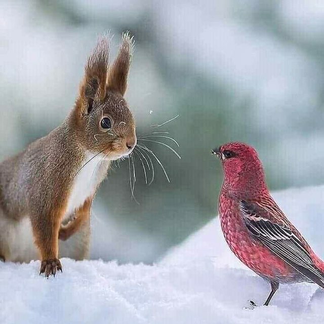 Paola  🌊🐕🚶‍♀️🇮🇹 post 1