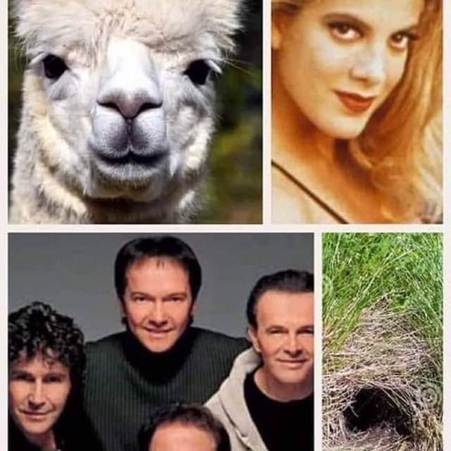 Paola  🌊🐕🚶‍♀️🇮🇹 post 1