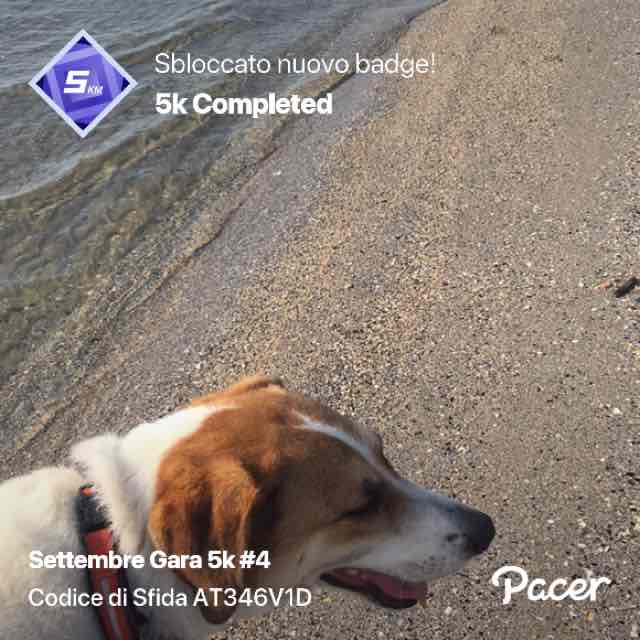 Paola  🌊🐕🚶‍♀️🇮🇹 post 1
