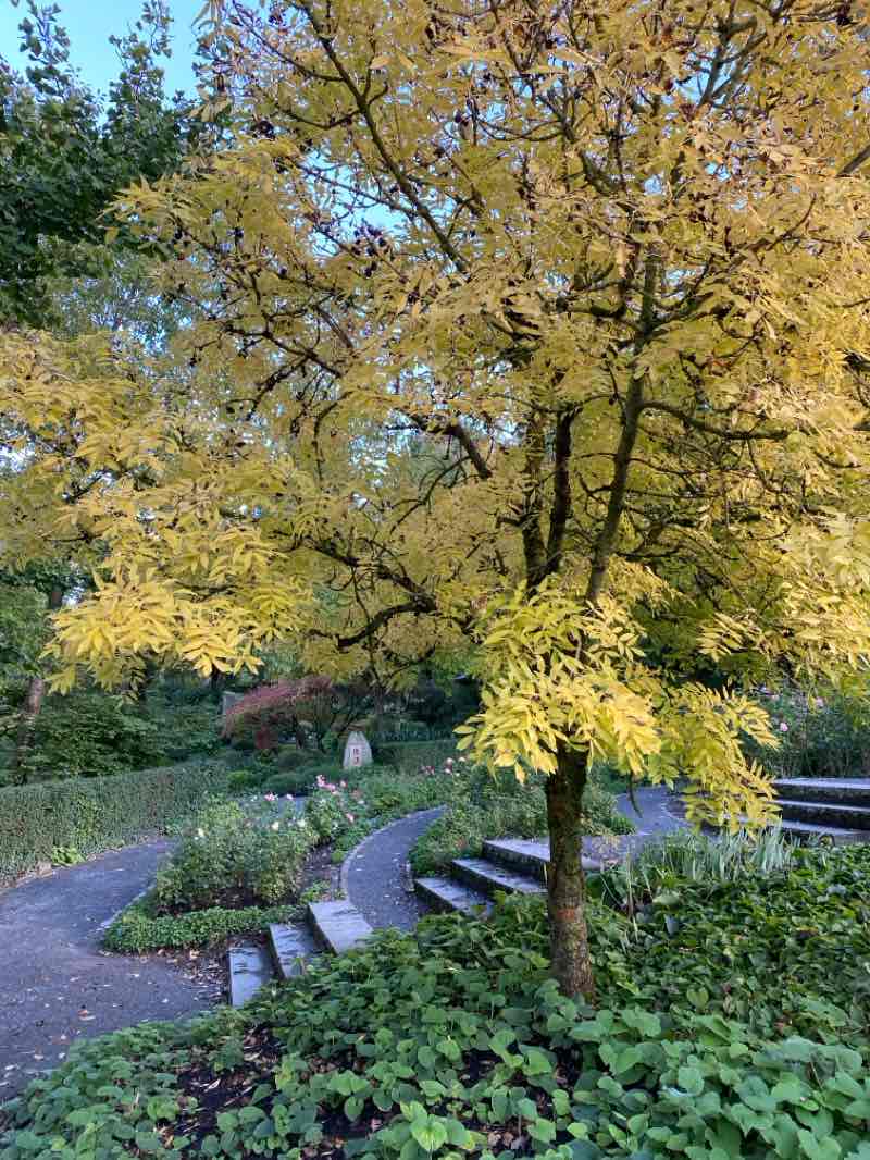 walking near me in LGS-Gelände 1990 in winter