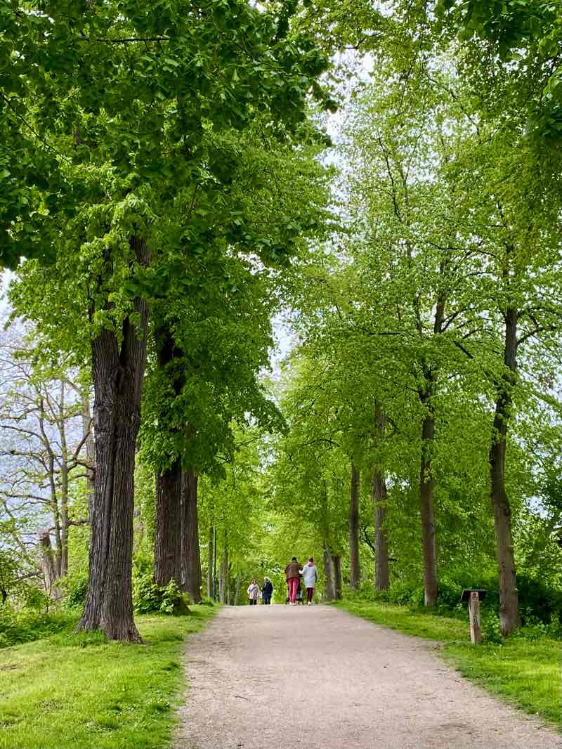 walking near me in Gauß-Weber-Anlagen in winter