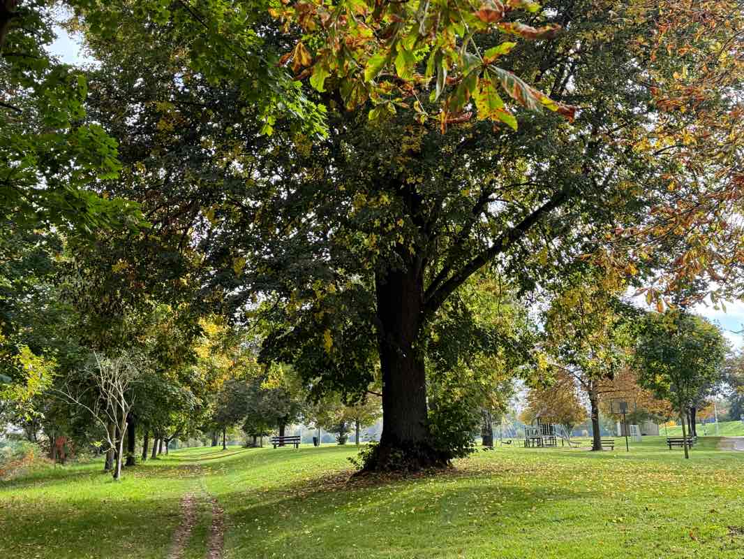 walking near me in Die Forscherinsel in autumn