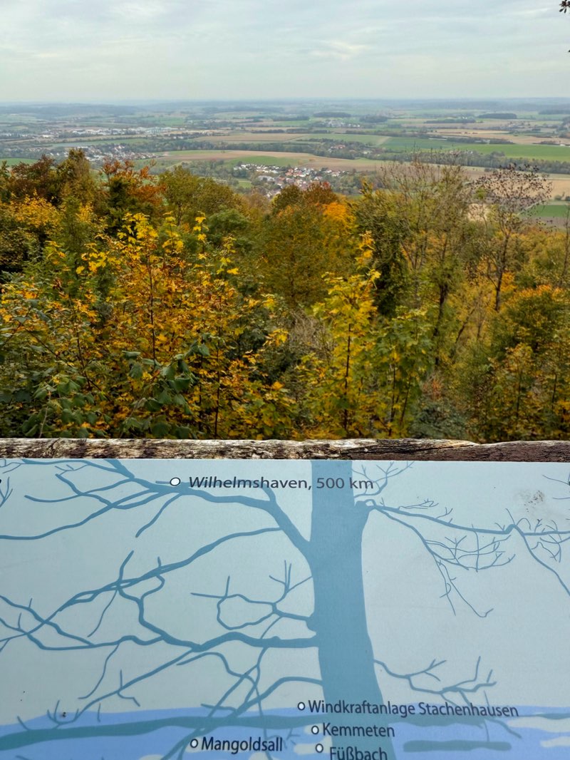 walking near me in Hofgarten in autumn