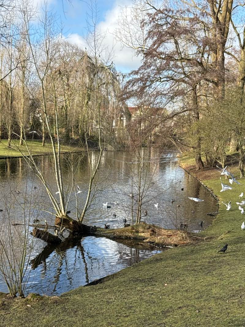 walking near me in Noorderplantsoen in winter