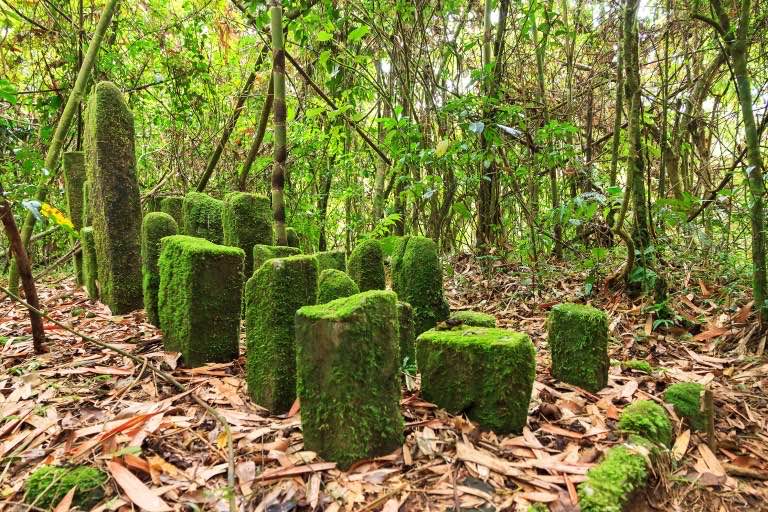 walking near me in Parque de Merendas das Tercenas in winter
