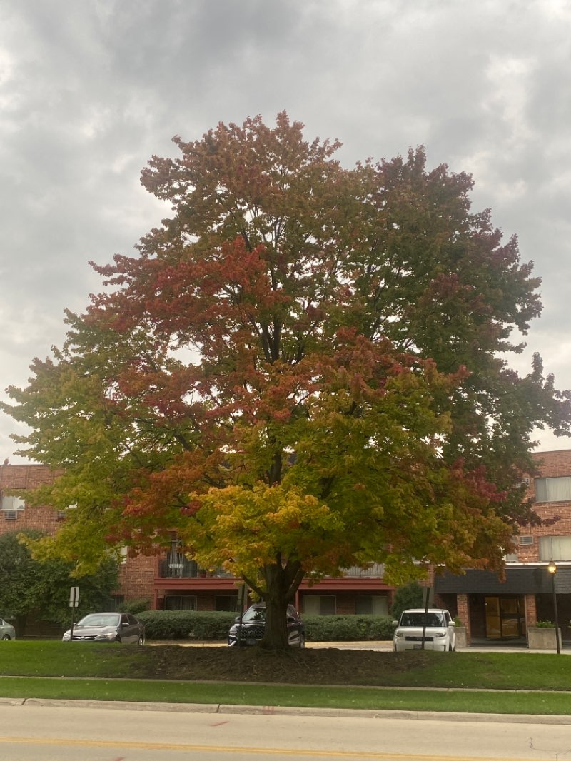 walking near me in Co-Op Park in winter